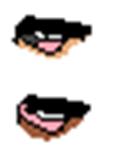 noses.jpg
