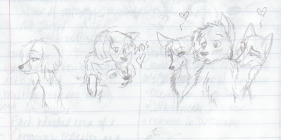Bear1.png