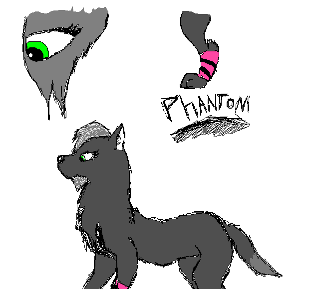 phantom1.PNG