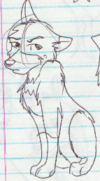 Veil.png