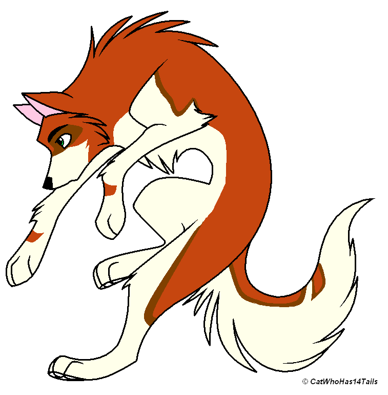 fanpup#1.PNG