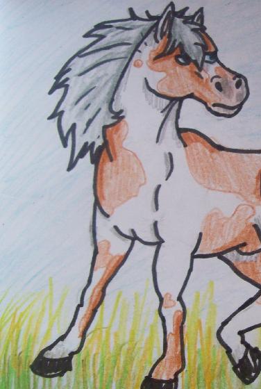 horsey.jpg