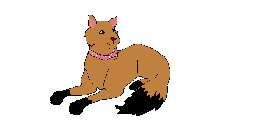 untitled.GIF
