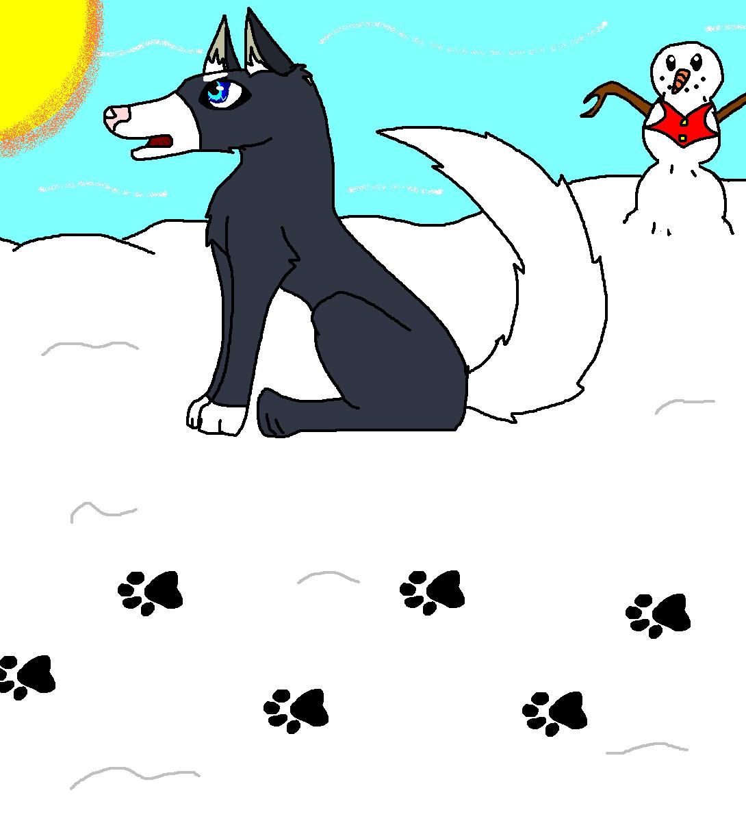 try to adopt.JPG