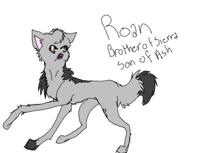 Roan.jpg