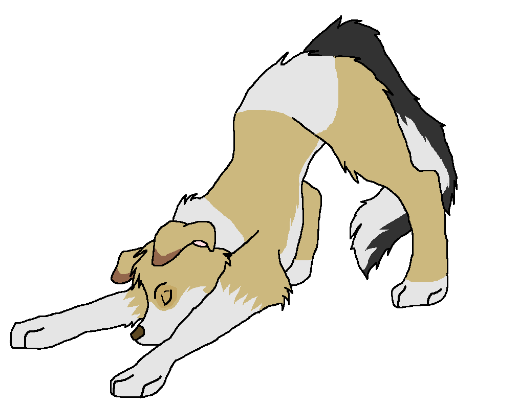 dogs 013.png