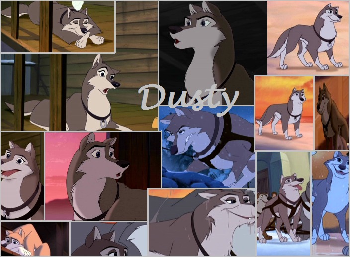 Dusty.jpg