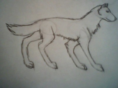 Snapshot_20100501.jpg