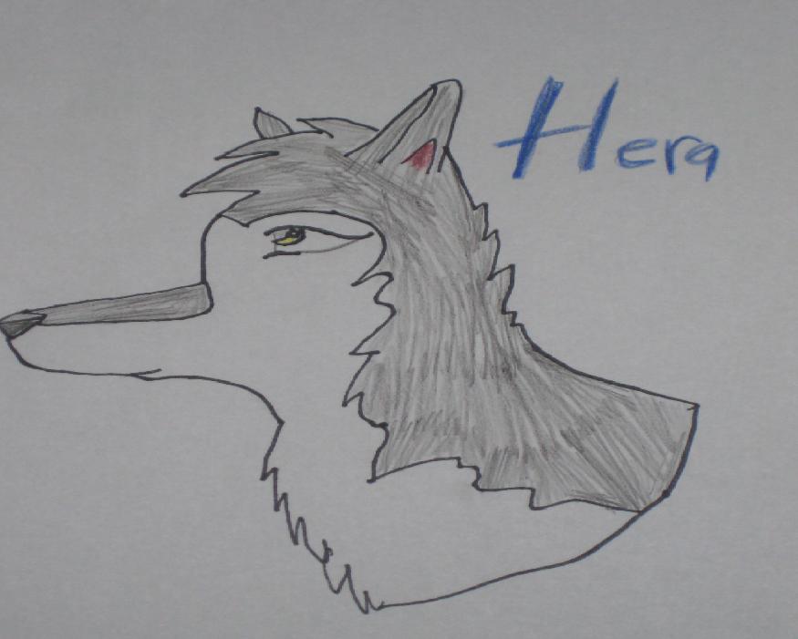 Hera!!.JPG