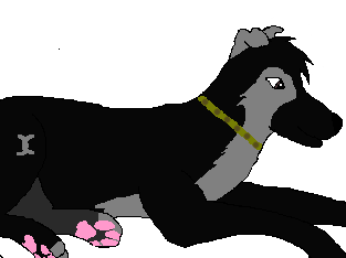 Dodger.png