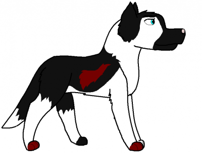chy.PNG