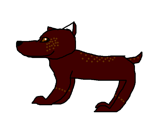 coco.PNG