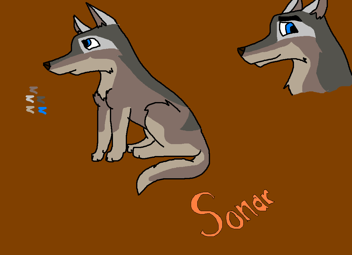 sonar.PNG