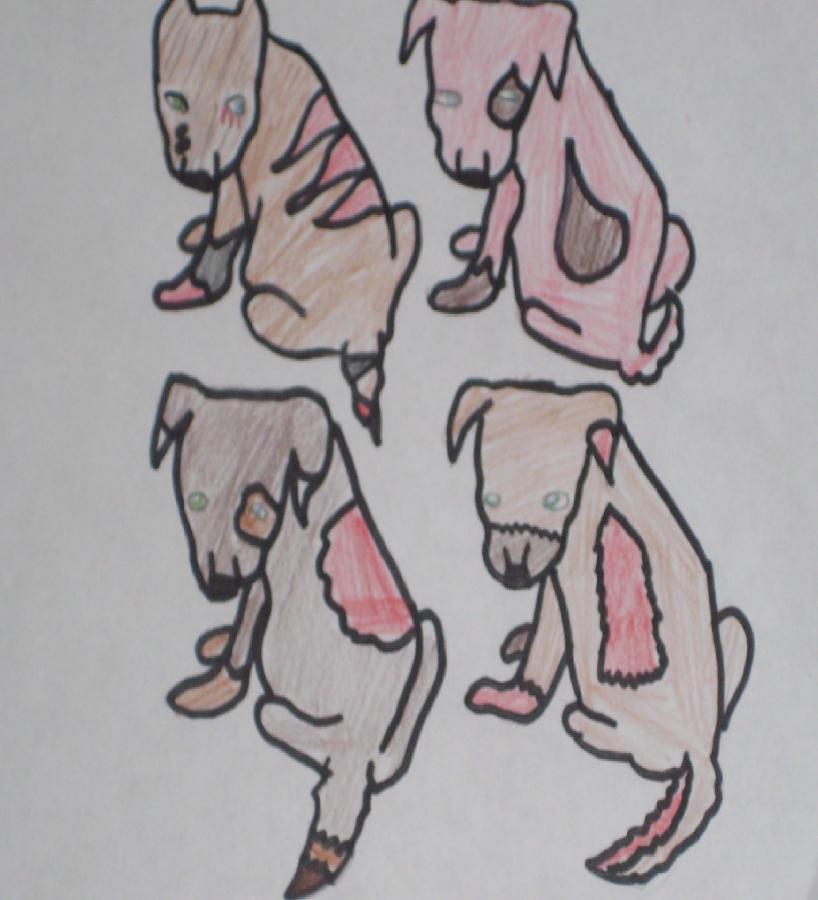 Puppies!.JPG