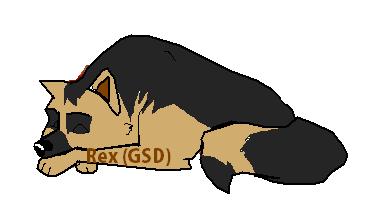 Sleeping_Jason.JPG