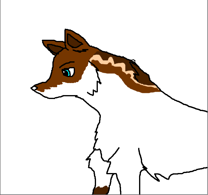 Co-coo.PNG
