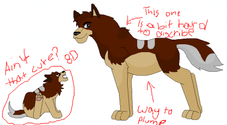 pic_detail49e9c61274a47.png