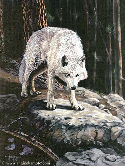 whitewolf.jpg