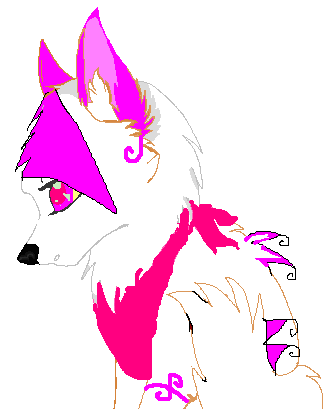 Kimi.PNG