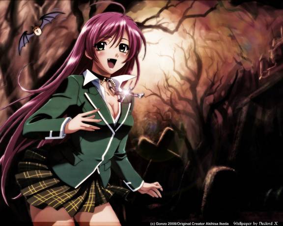 %5Blarge%5D%5BAnimePaper%5Dwallpapers_Rosario-+-Vampire_NeclordX(1_25)__THISRES__73180.jpg