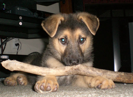 aww-omg.jpg