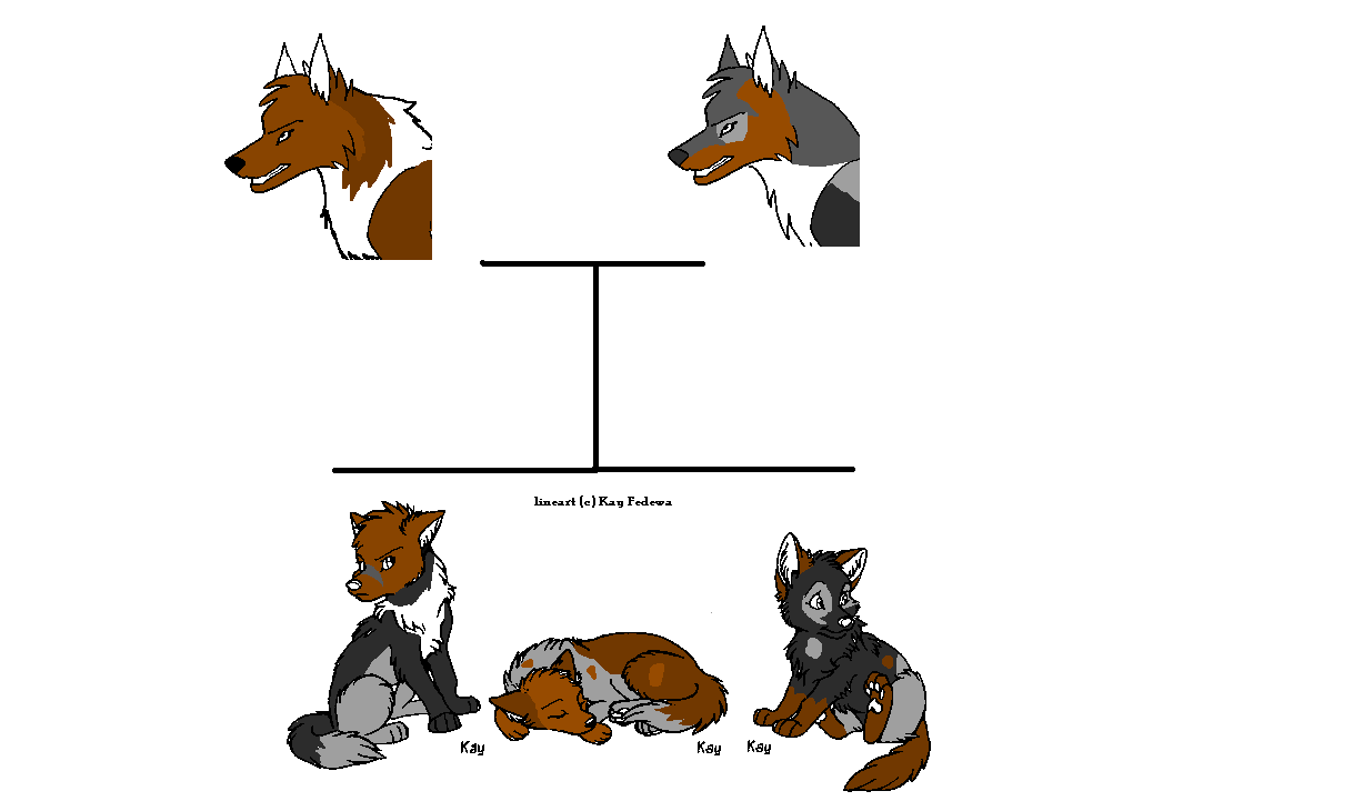 nbp.PNG