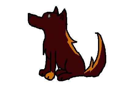 pup 2.jpg