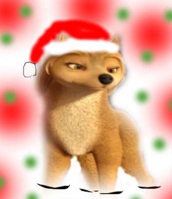 Kate-Christmas-Design-alpha-and-omega-27746052-350-406.jpg