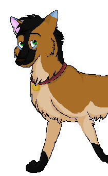 Mal.png