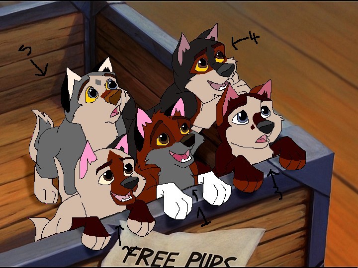 Roxie and Zac's pupers.jpg