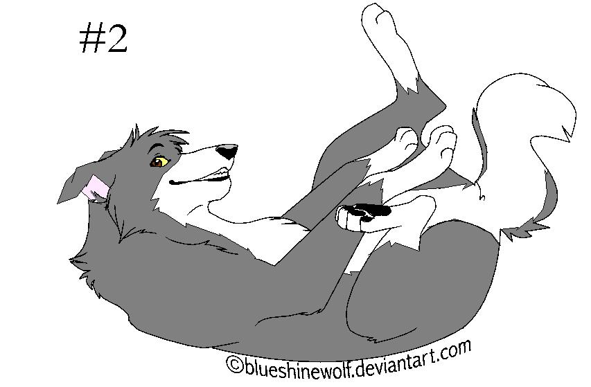 Adopt 4.jpg
