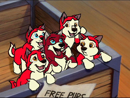 Baltos pups.jpg