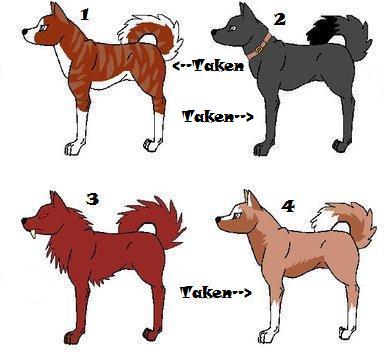 Wolfie Adoption.jpg