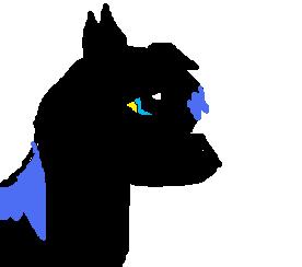 Untitled.jpg