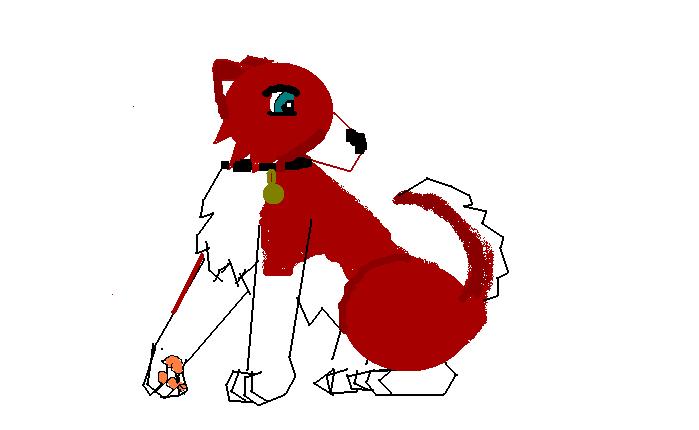 Jennas wealdog brother!.JPG