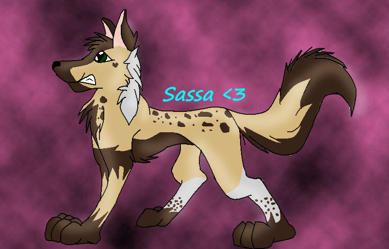 Sassa.jpg