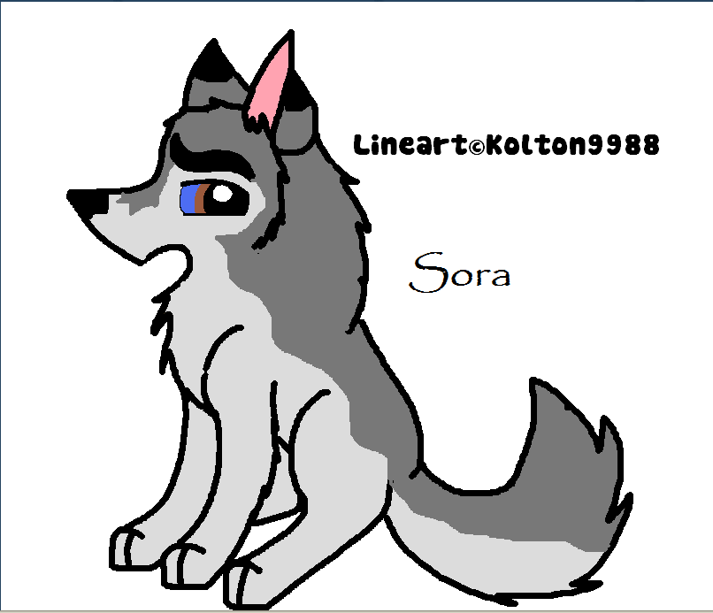 sora.png