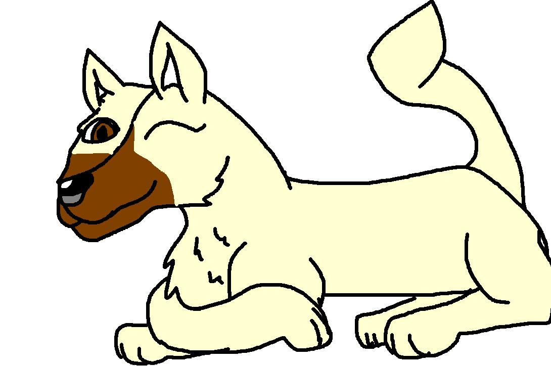 germansheperedchiwawa.JPG