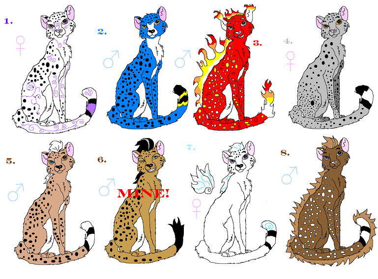 cheetah adoption sheet.PNG