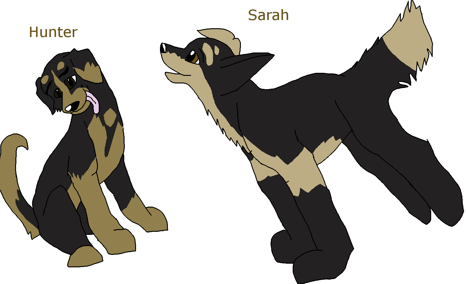 hunterandsarah.PNG