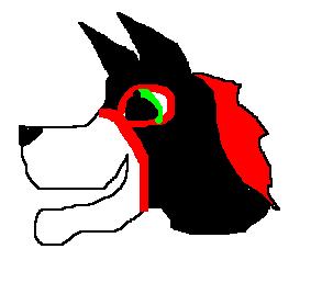 Flame the wolf.JPG