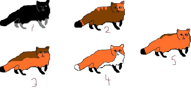foxys.JPG