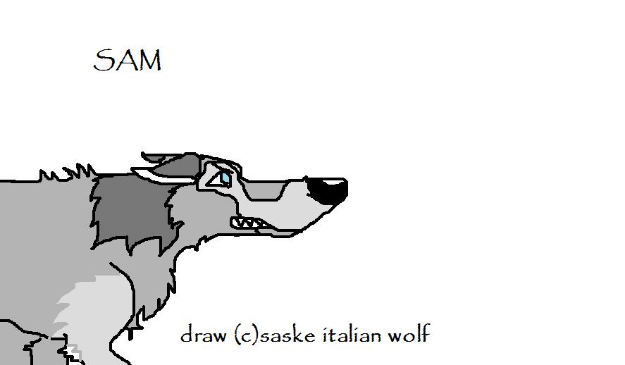 sam.jpg