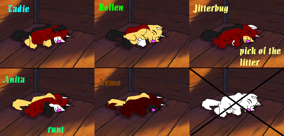 tands.PNG