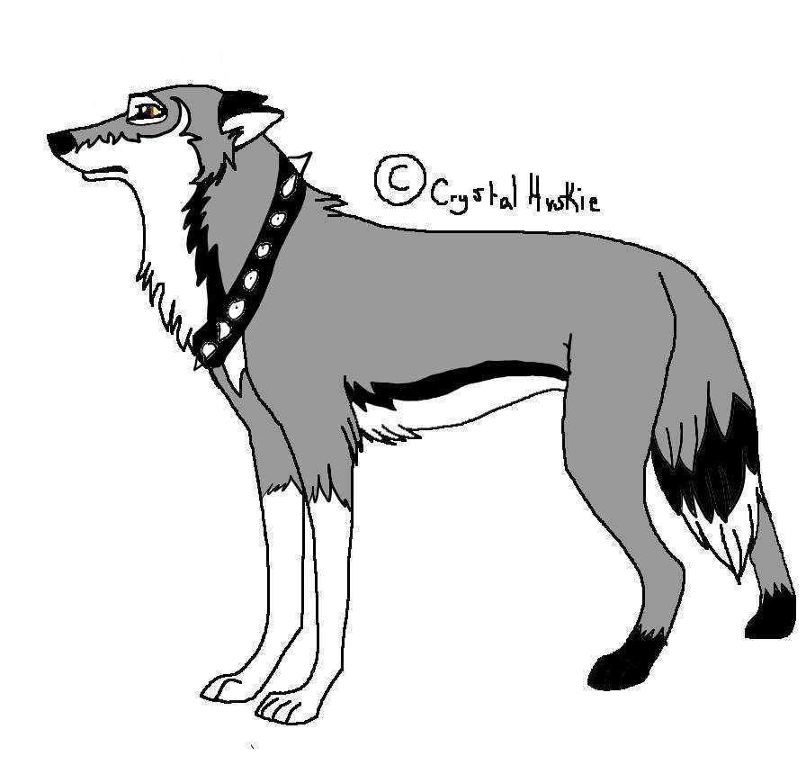 NEW WHITE FANG.JPG