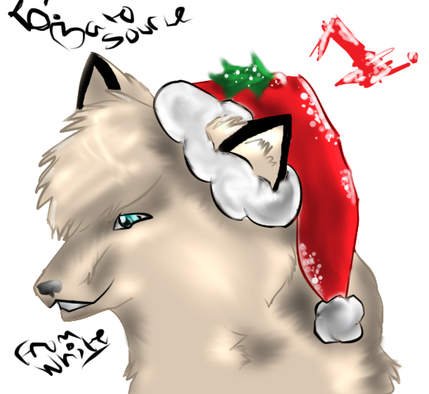 christmas gift to balto source.jpg