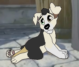 Felix2.jpg