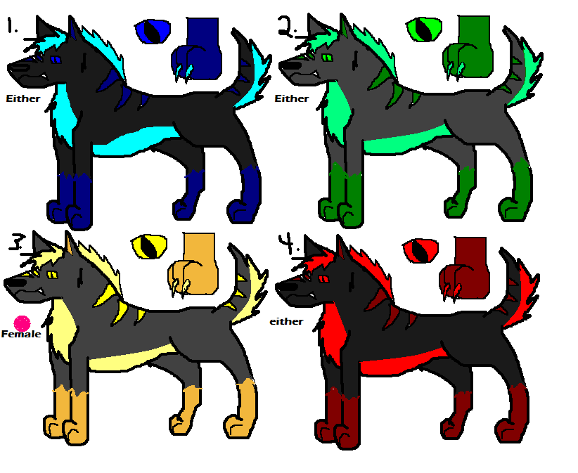 adoptzecker.PNG