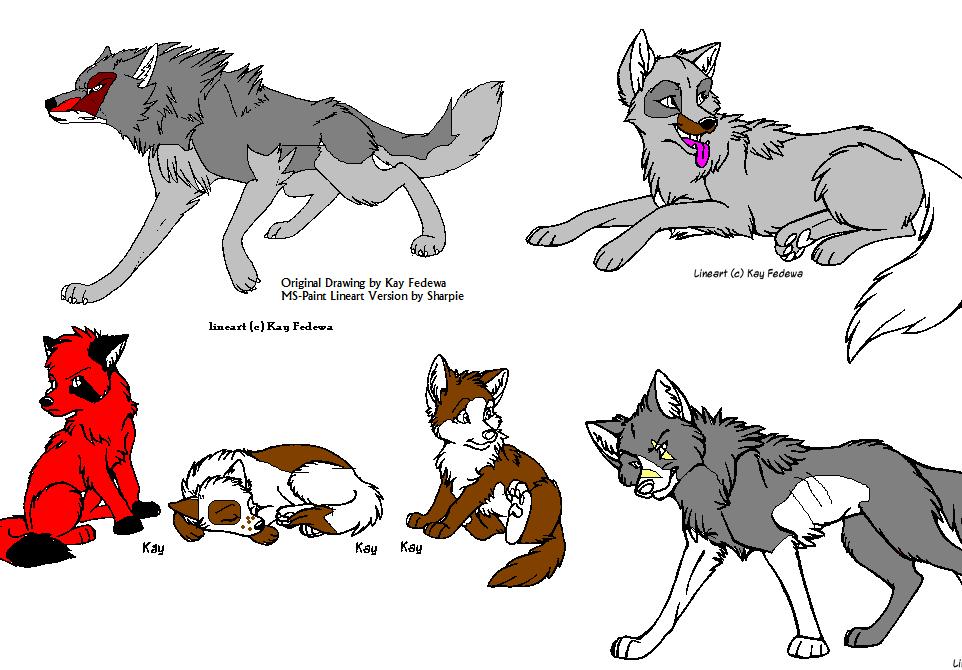 dogs to adopt.JPG