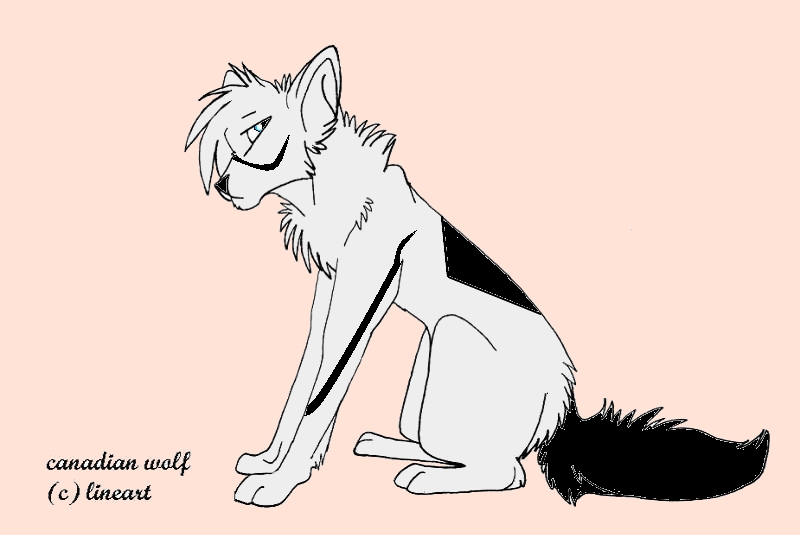 Dogtoadopt.jpg